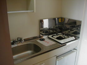 Kitchen. Gas stove with a (1-neck)!