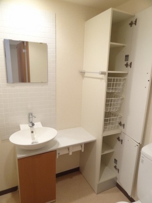 Washroom. Stylish wash basin and convenient storage space