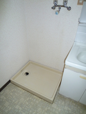Washroom. Laundry Area