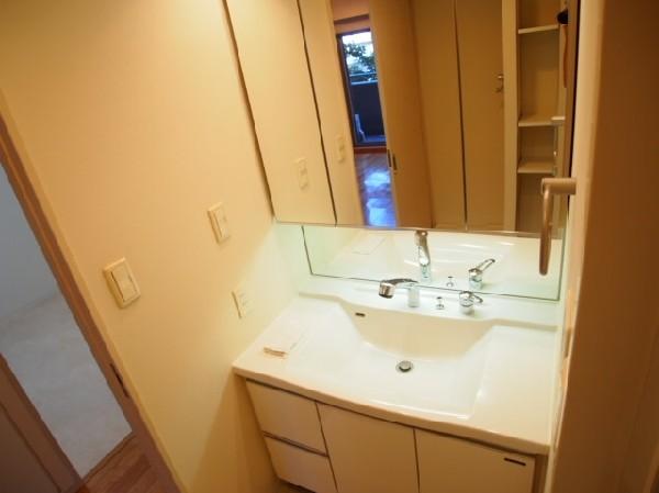 Wash basin, toilet. Around the water has been clean used