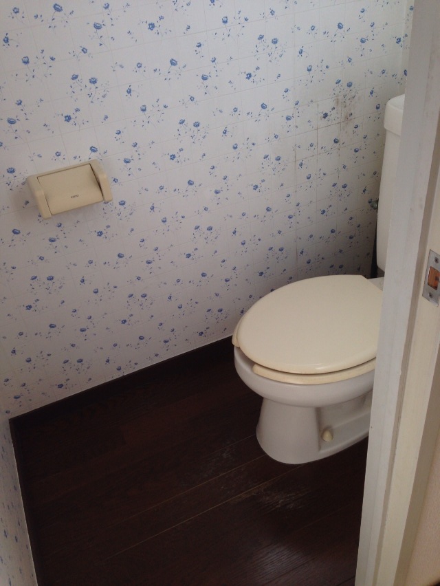 Toilet. bedroom