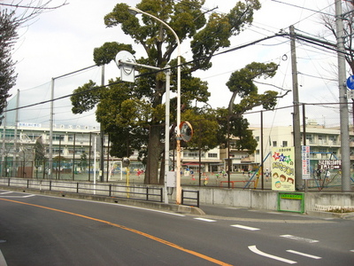 Primary school. Doai 250m up to elementary school (elementary school)