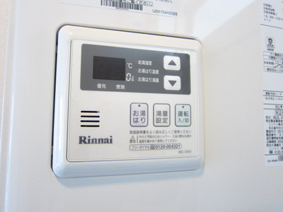 Other. You can adjust the temperature of hot water in the panel! 