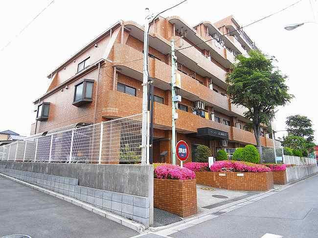 Local appearance photo. Local shooting