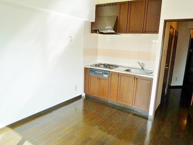 Kitchen. Indoor (10 May 2013) Shooting