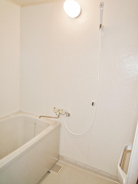 Bathroom. Indoor (10 May 2013) Shooting