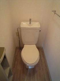 Toilet. Toilet