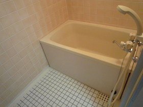 Bath. Bathroom with a Reheating function