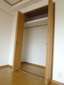 Living and room. Storage of closet type