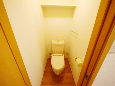 Toilet. Toilet with cleanliness