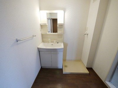 Washroom. Laundry Area and washbasin