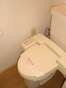 Toilet. Warm water washing toilet seat