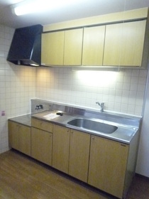 Kitchen. Gas stove is installed Allowed city gas Property.