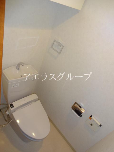 Toilet. It is with shiny toilet Washlet! 