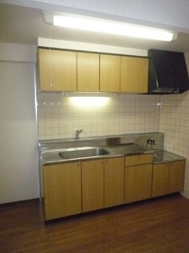 Kitchen. Gas stove installation Allowed, Kitchen of city gas