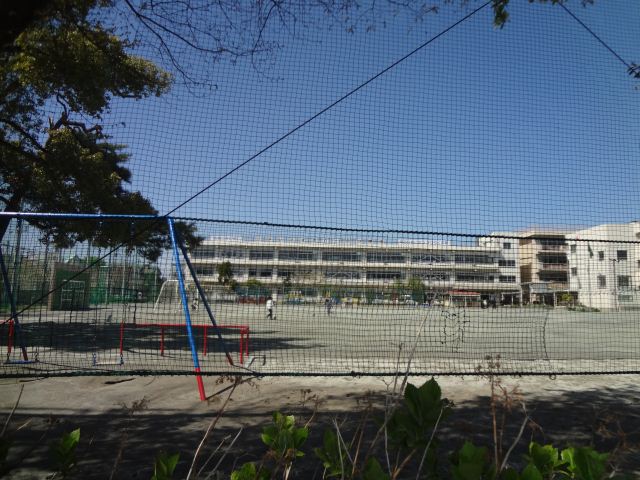 Primary school. Municipal Doai to elementary school (elementary school) 520m