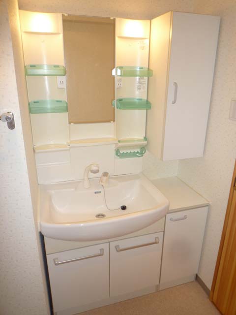 Washroom. With a convenient shampoo dresser