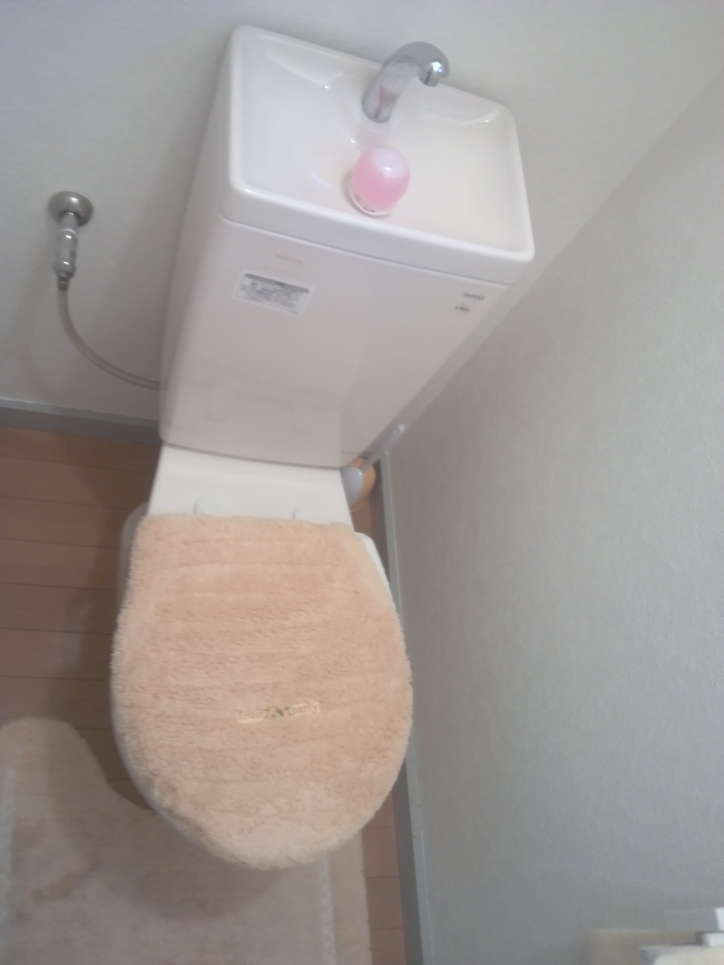 Toilet. Toilet space