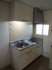 Kitchen. Gas stove is installed Allowed