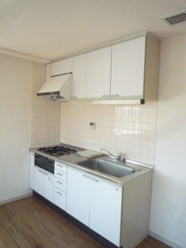 Kitchen. System kitchen