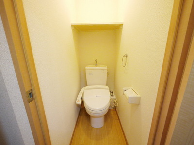 Toilet. Bathroom with a shower