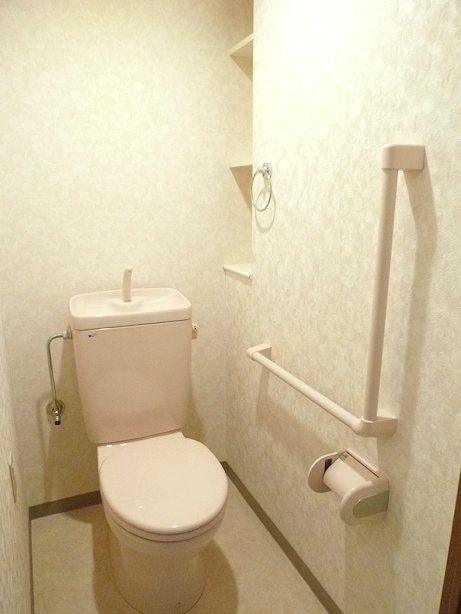 Toilet. Toilet equipped with a convenient storage shelf & handrail