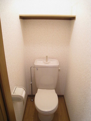 Toilet. The toilet was installed the shelf