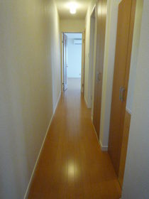 Other. Is a floor plan with a corridor