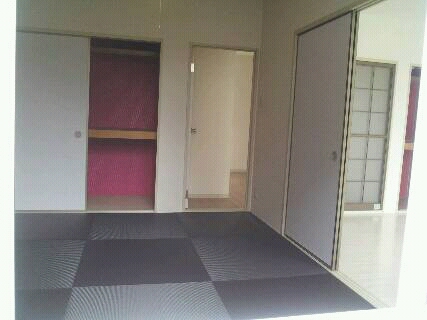 Other. Modern tatami