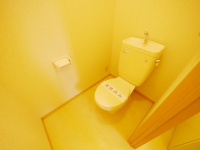 Toilet. Same type