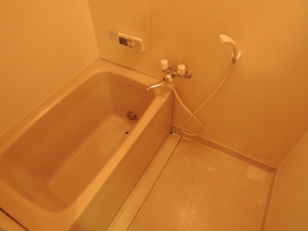 Bath. Bathroom with the reheating