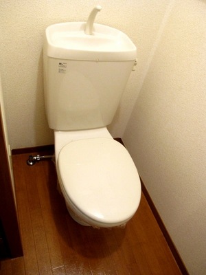 Toilet. Of depth is a spacious toilet!