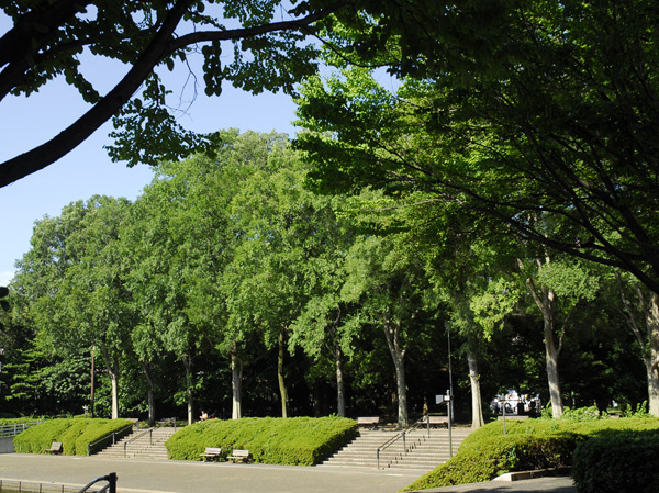 Surrounding environment. Kitaurawa park (about 550m / 7-minute walk)