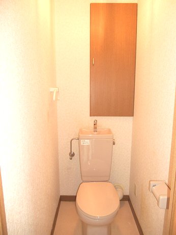 Toilet. Convenient toilet with accommodated