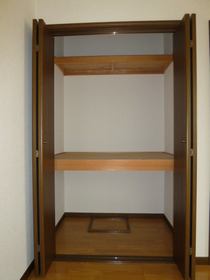 Living and room. Spacious closet