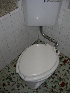 Toilet