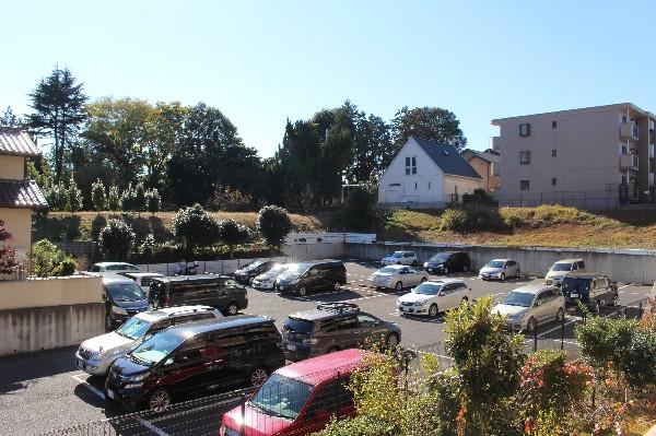 View photos from the dwelling unit. Pictures - is a view from the view photo balcony from the dwelling unit. It jumped green, It is very pleasant doctor