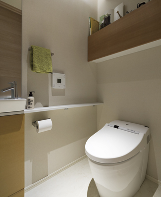 Building structure. Tankless toilet, indirect lighting, Comfortable employing a smart shelf