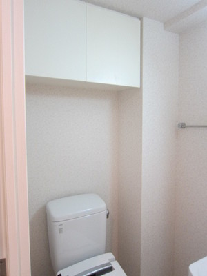 Toilet. There is a cupboard on the toilet! 