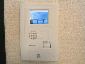 Other. Monitor with intercom