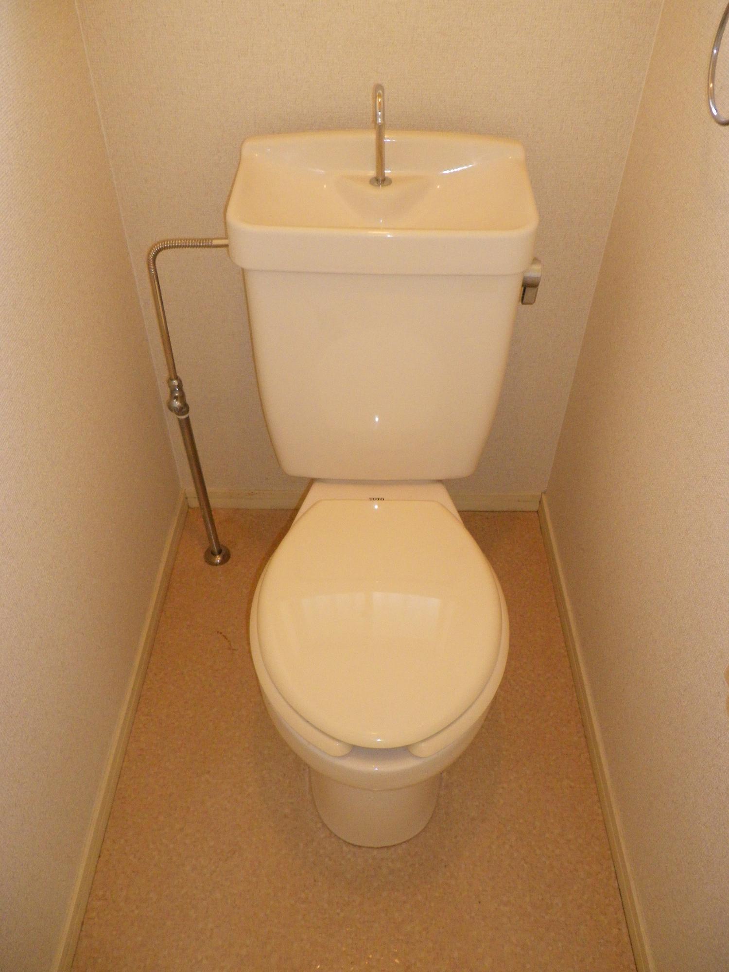 Toilet. It's Western-style toilets are calm after all