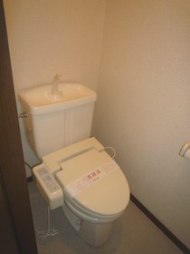 Toilet. Toilet