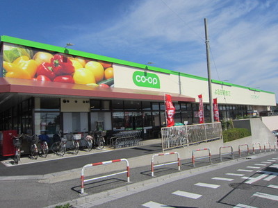 Supermarket. 600m to the Co-op (super)