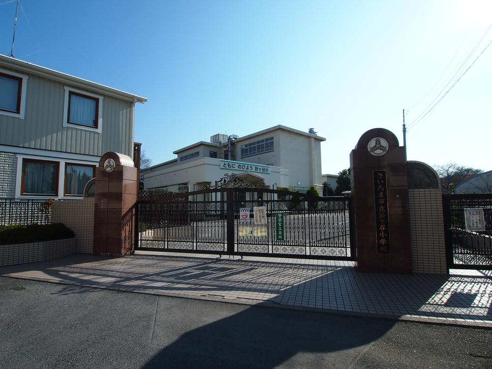 Primary school. Hariketani until elementary school 580m