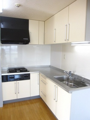 Kitchen. L-shaped in the spacious