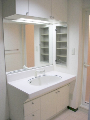Washroom. Bathroom vanity Indoor reference photograph