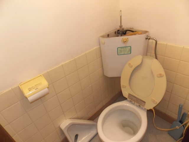 Toilet