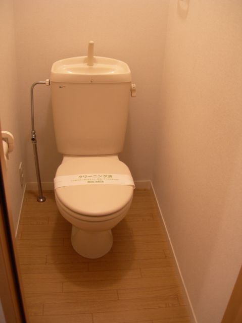 Toilet. It is a beautiful toilet. 