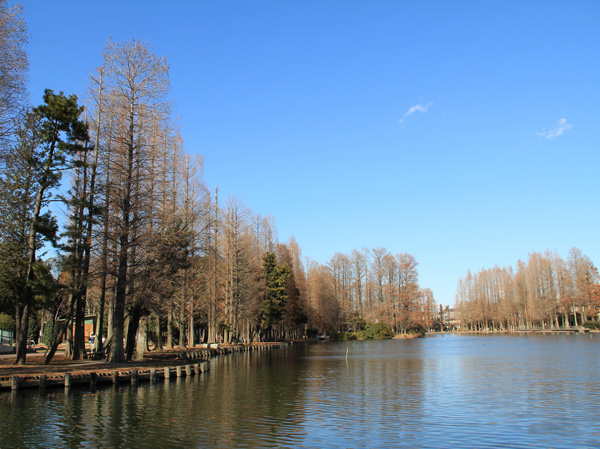 Surrounding environment. Bessho swamp park (about 750m, A 10-minute walk)