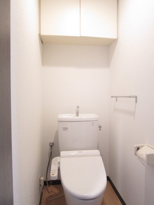 Toilet. With a cupboard, Small items can be stored!